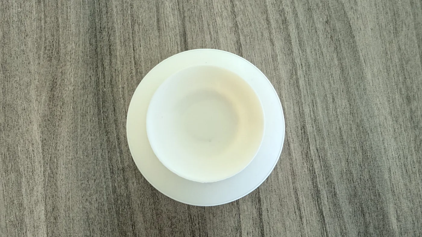 Underside of the bowl with its pale removable suction base